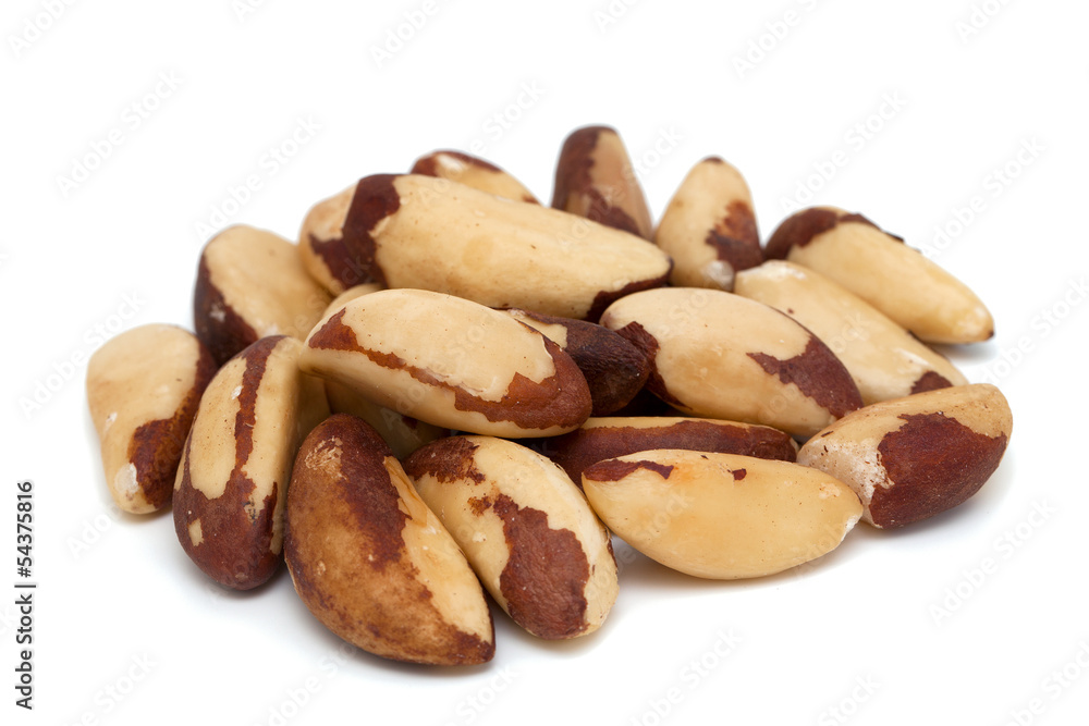 background, bertholletia, brazil, brazilian, brown, close, close background, bertholletia, brazil, brazilian, brown, close, close