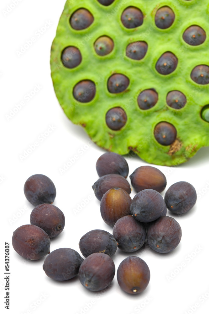 Fresh lotus ripe seed and pod Fresh lotus ripe seed and pod