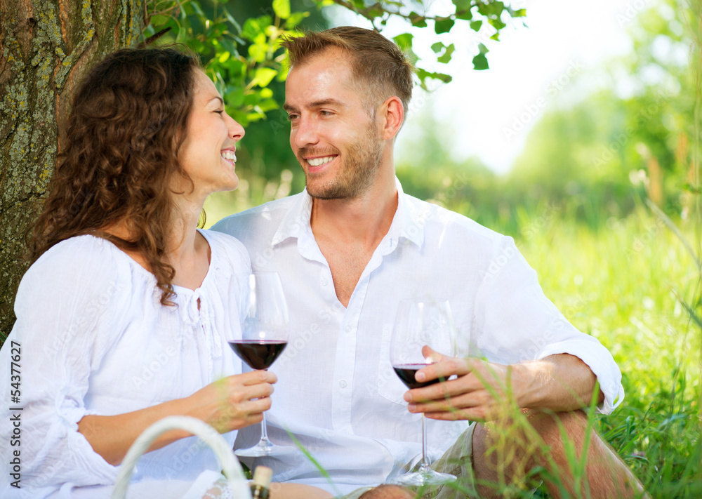 Picnic. Young Couple relaxing and drinking Wine in a Park Picnic. Young Couple relaxing and drinking Wine in a Park