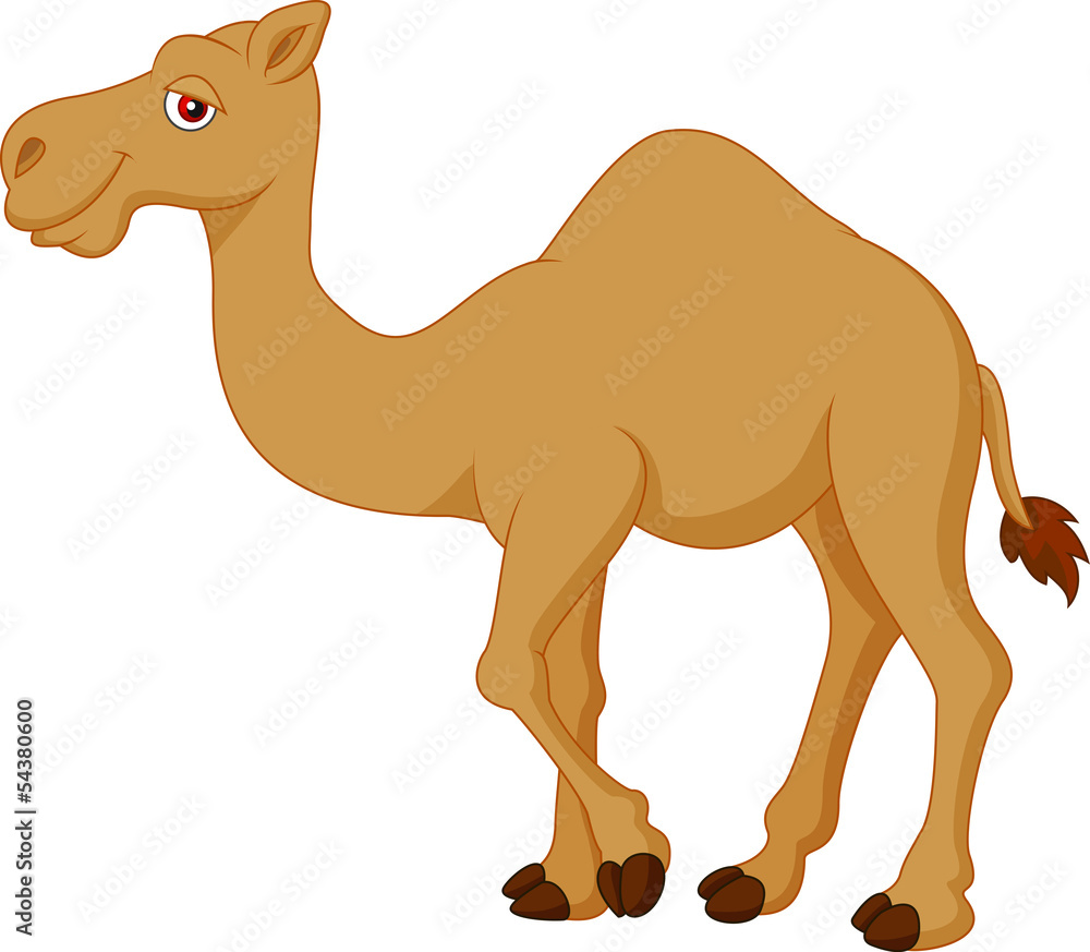Cute camel cartoon Stock Vector | Adobe Stock