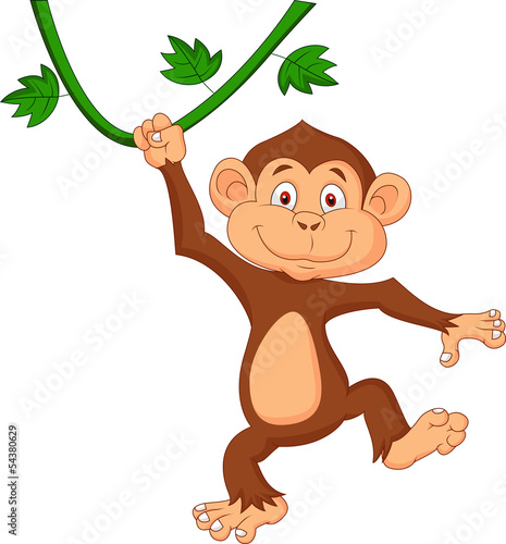 Cute monkey hanging