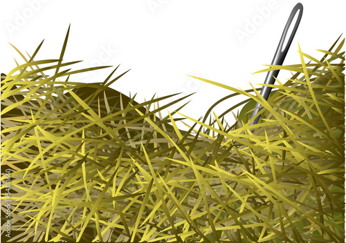 needle in a haystack