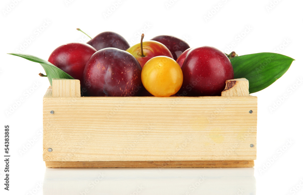 Ripe plums on wooden box isolated on white Ripe plums on wooden box isolated on white