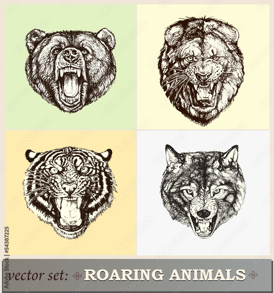 Obraz premium Vektor Illustration: brüllender Tiere