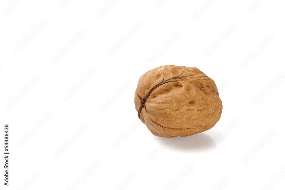 Walnut Walnut