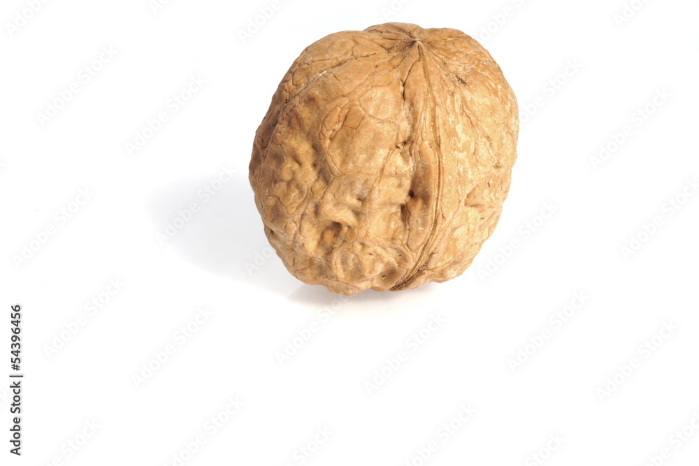 Walnut Walnut