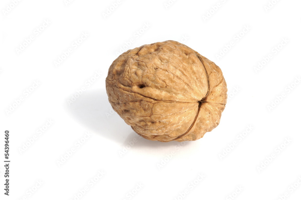 Walnut Walnut