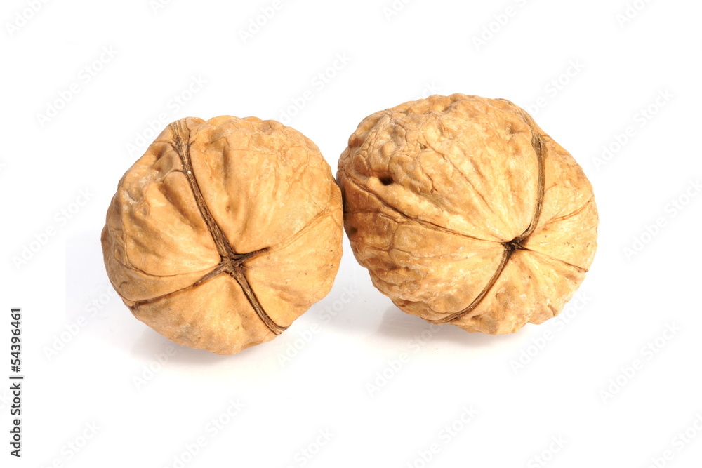 Walnut Walnut