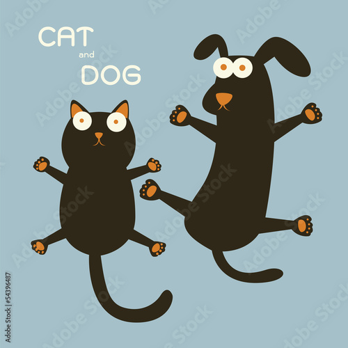 Cat and Dog