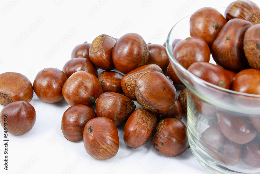 Obraz premium Hazelnut