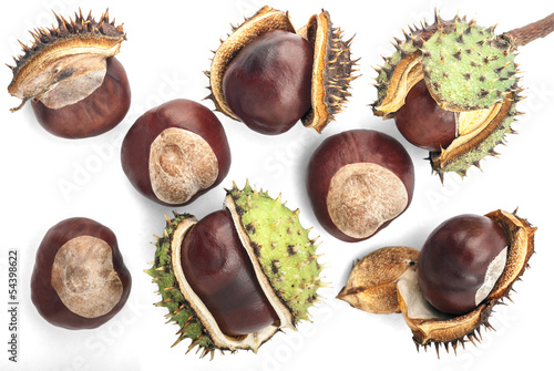 Eight Chestnuts