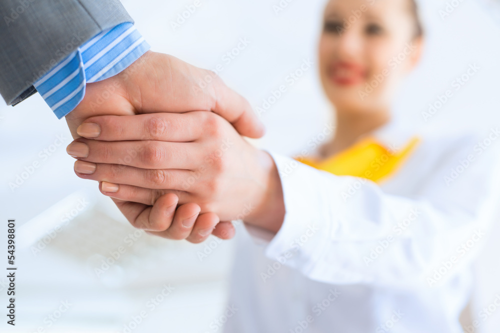 business woman shaking hands with a client business woman shaking hands with a client