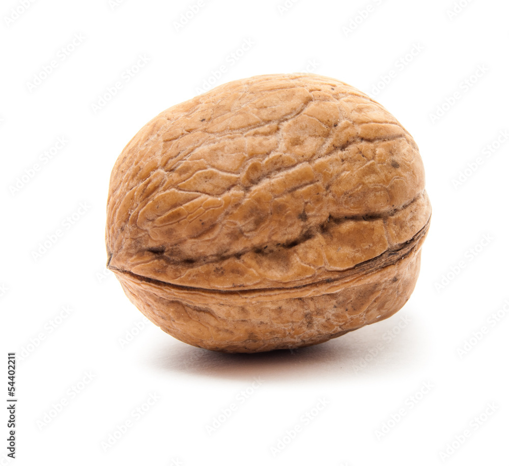 Walnuts isolated on white Walnuts isolated on white