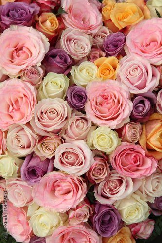 Pastel wedding roses