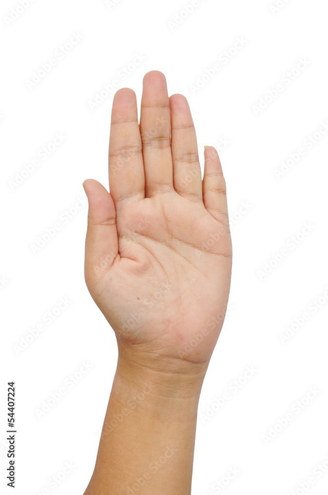 Female hand palm isolated Female hand palm isolated