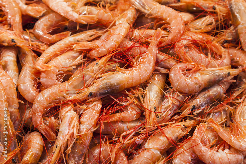 shrimps (Parapenaeus longirostris) , fish market shrimps (Parapenaeus longirostris) , fish market