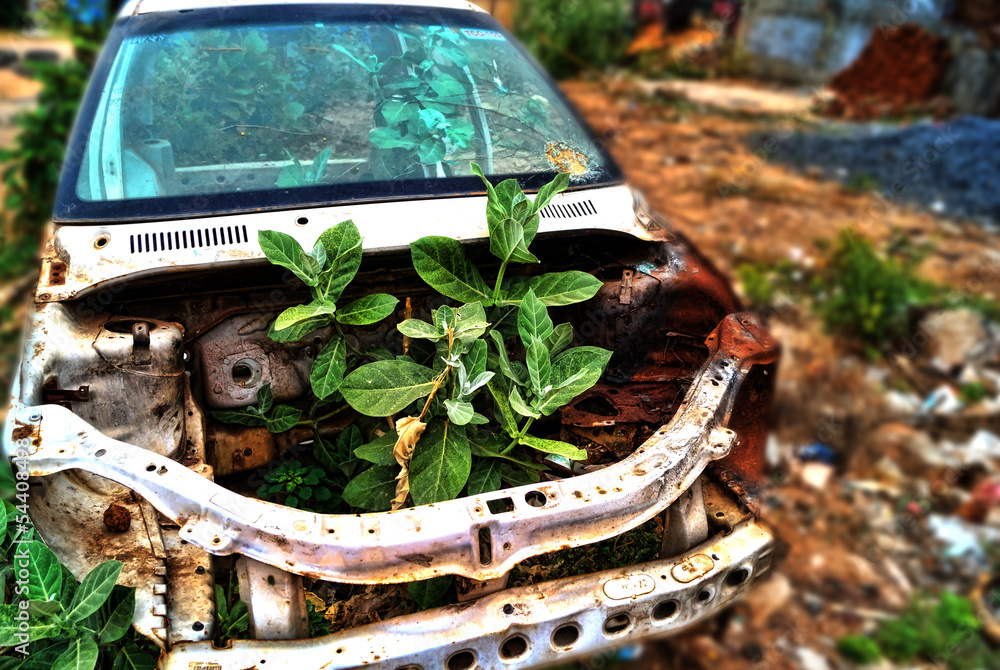 Weed Growth in a Car