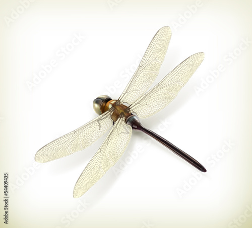 Dragonfly, realistic