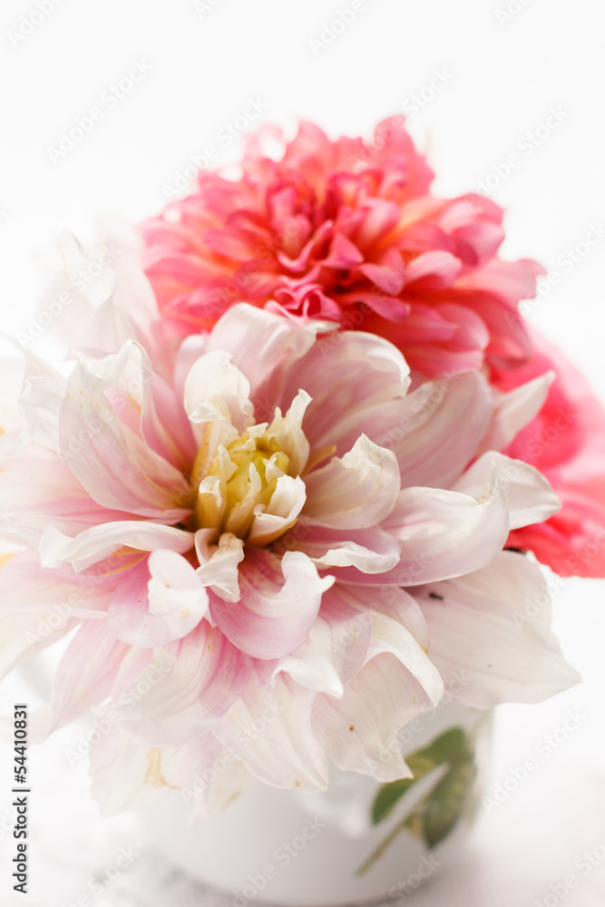 Fototapeta premium Summer flowers