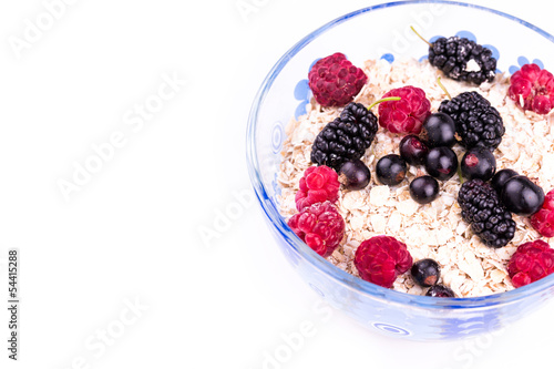 Oat flake porridge with fresh berries isolated