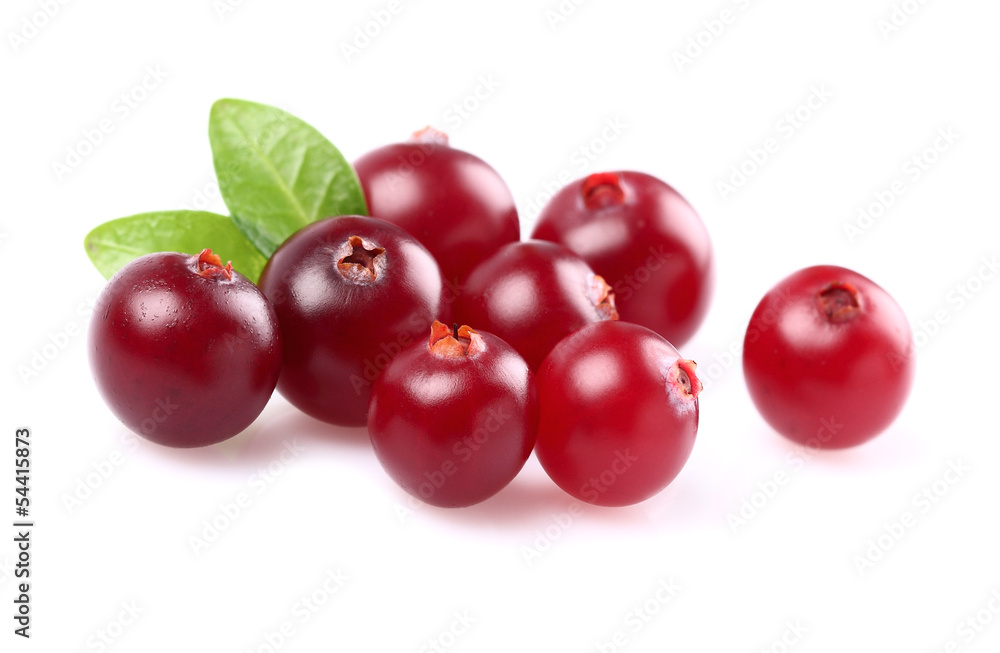 Ripe cranberry with leaf Ripe cranberry with leaf