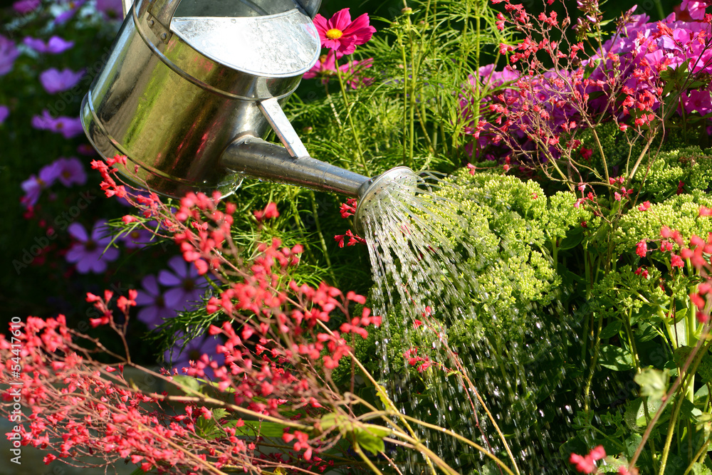 Obraz premium Garten 85