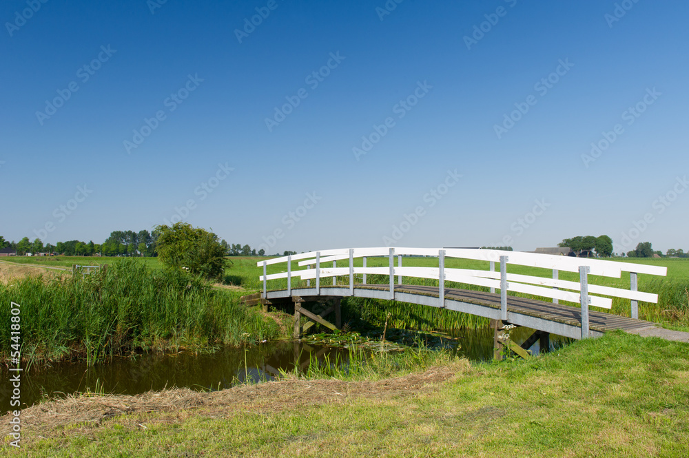 Bridge in landscape