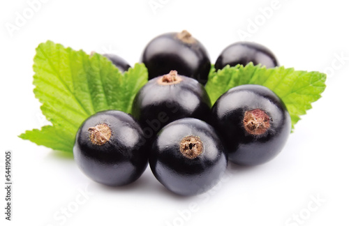 Black currant with leafs on white