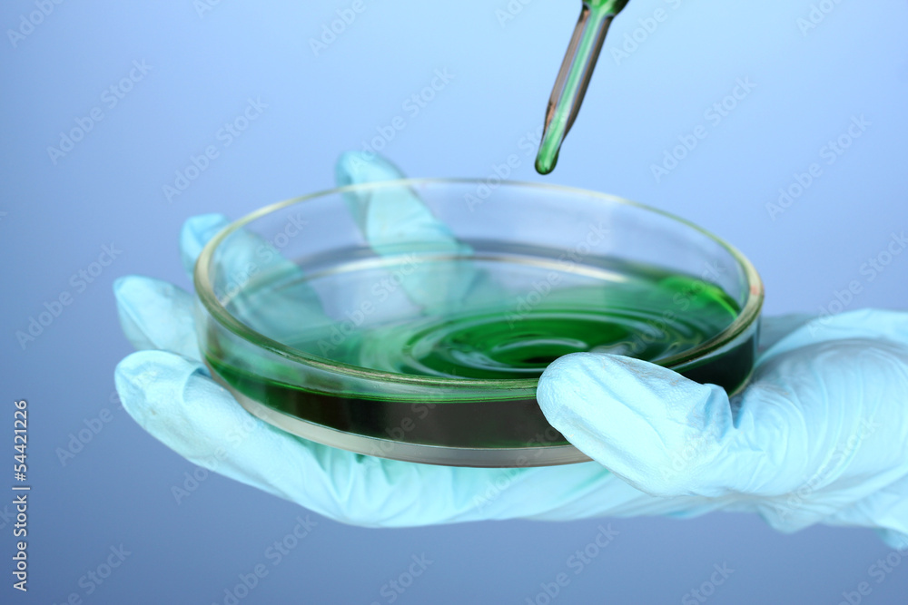 Laboratory pipette with drop of chemical liquid over Petri dish Laboratory pipette with drop of chemical liquid over Petri dish