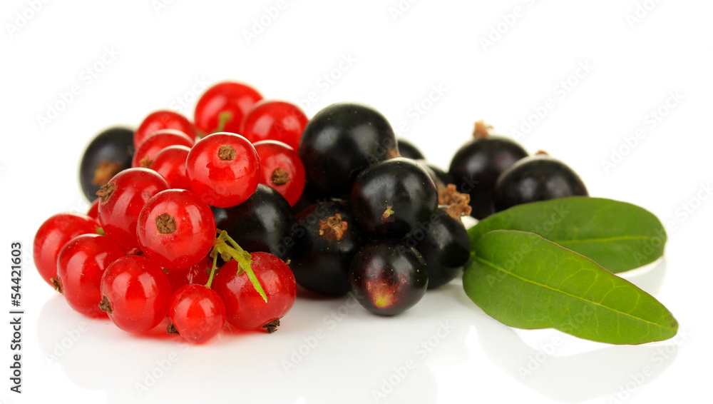 Red and black currant isolated on white Red and black currant isolated on white
