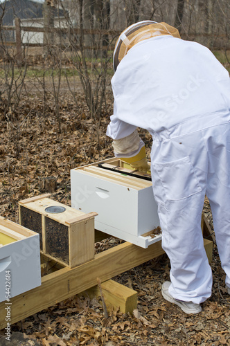 Installing Bees © Steve Oehlenschlager