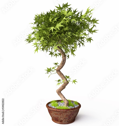 Decorative Houseplant in 3d