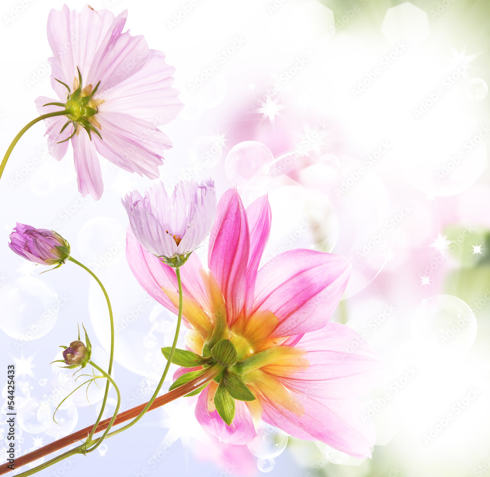 Beautiful flower background Beautiful flower background