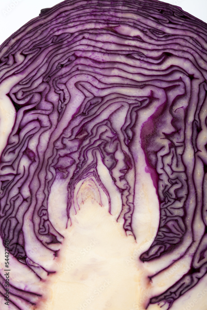 Red Cabbage cross section on White Background Red Cabbage cross section on White Background