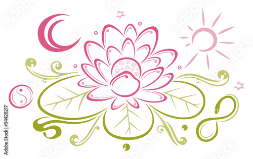 Lotusblüte, Lotusblume, Lotus, Seerose