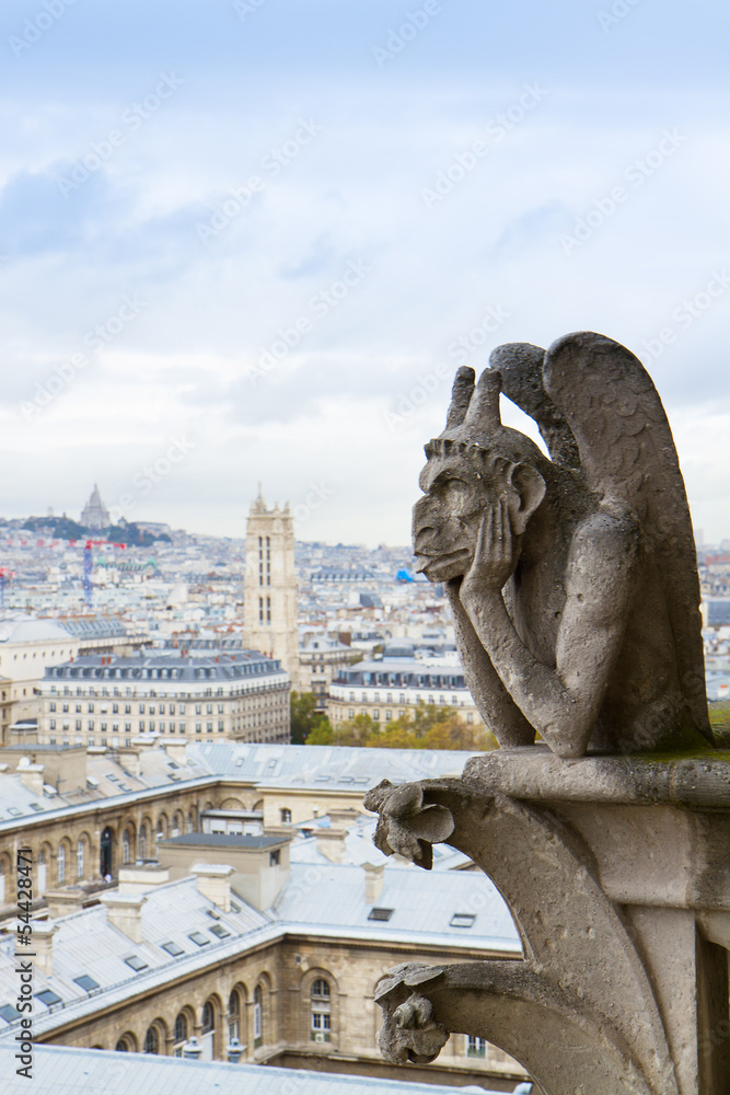 Gargoyle on Notre Dame Cathedral roof, France
