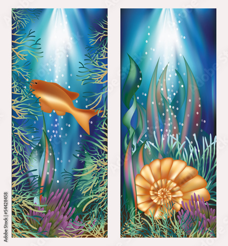 Underwater world two banners with golden fish and seashell