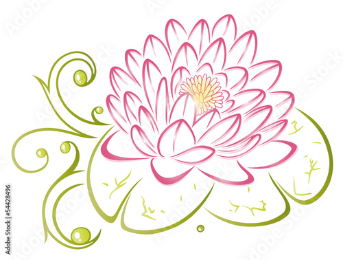 Lotusblüte, Lotusblume, Lotus, Seerose