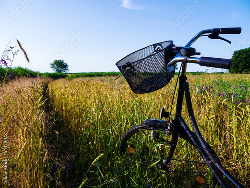 bicycle in landscape