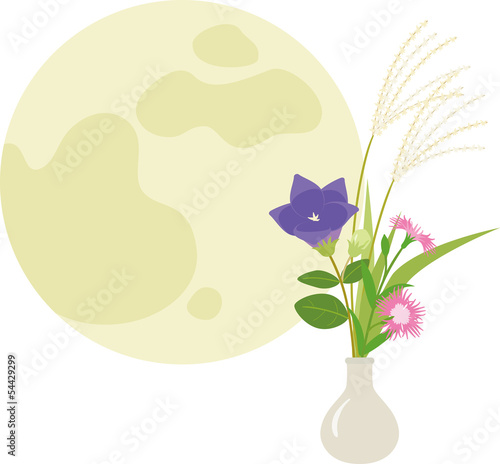 月と秋の草花
