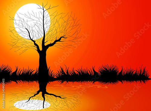 Fototapeta Naklejka Na Ścianę i Meble -  Tree silhouettes nature background