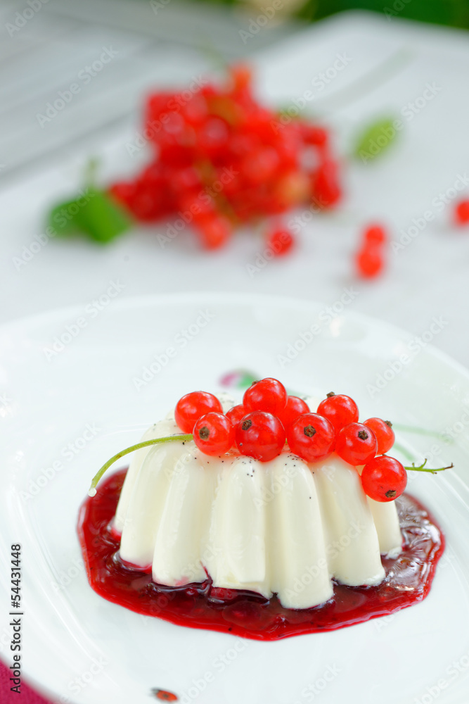 Panna cotta on white plate with berry sauce Panna cotta on white plate with berry sauce