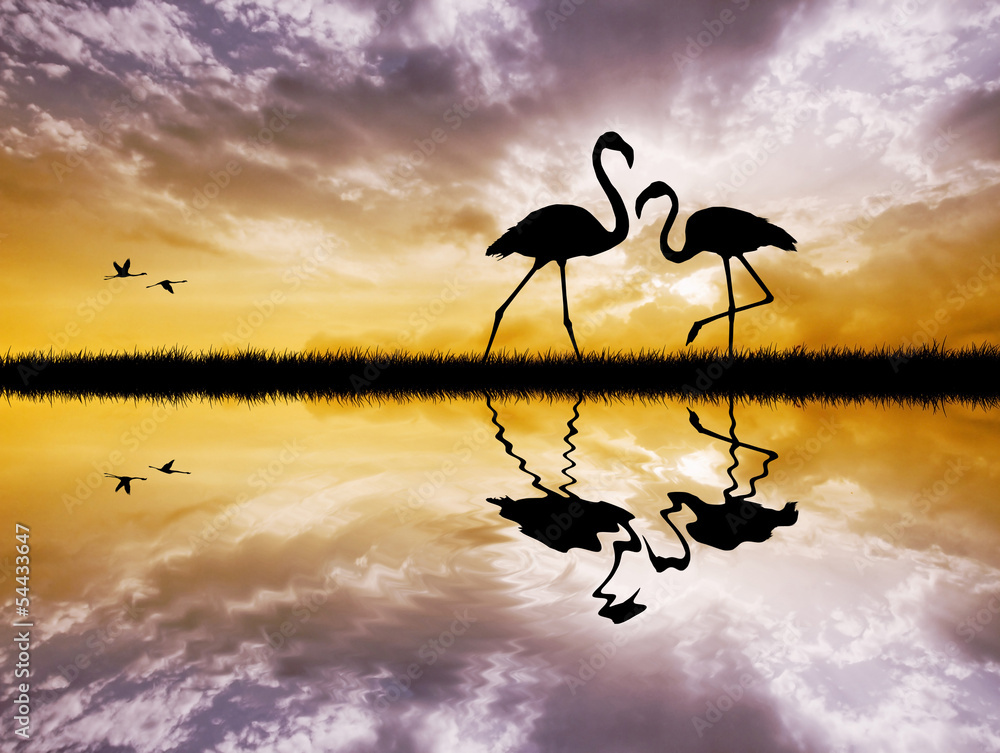 Fototapeta premium Pink flamingos in love