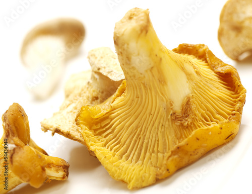 chantarelles on a white background with shadow