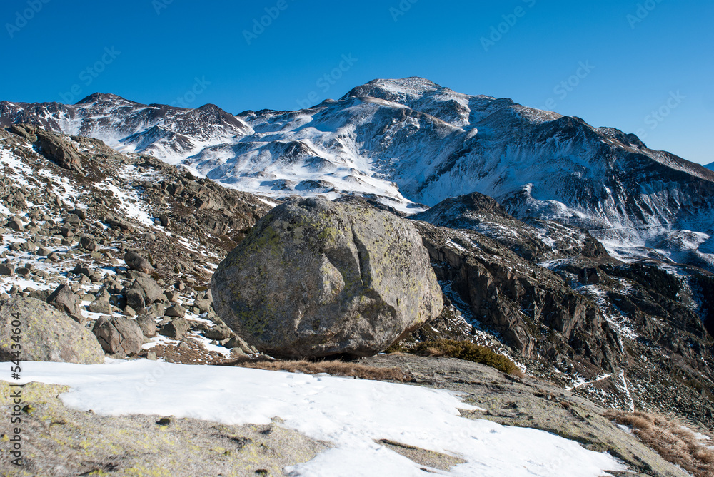 Obraz premium Lonely rock in national park Aiguestortes in Catalonia