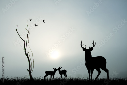 deers silhouette