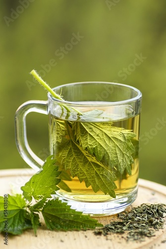 Nettle tea in glass. Fresh and dry stinging nettle