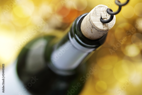 Canvastavla Cork screw and wine bottle