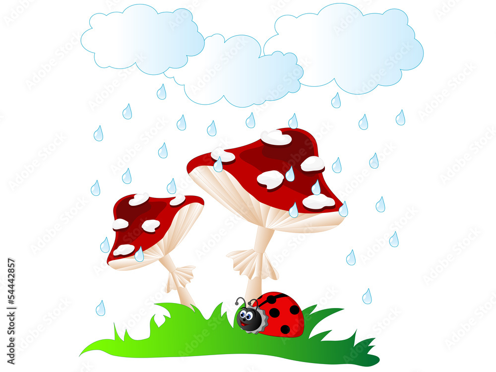 Mushrooms in rain Mushrooms in rain