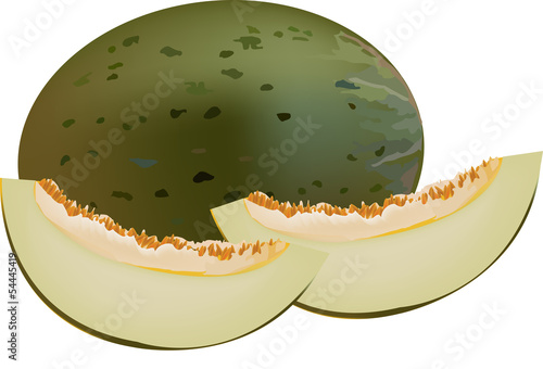 melone piel de sapo